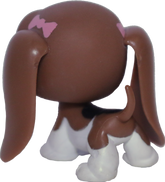 #0502/964 Basset Hound